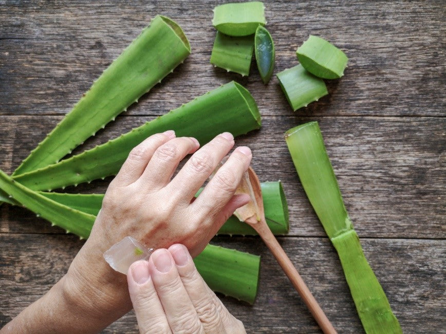 Soothe dry skin issues with Eternal Skincare’s Aloe-based range