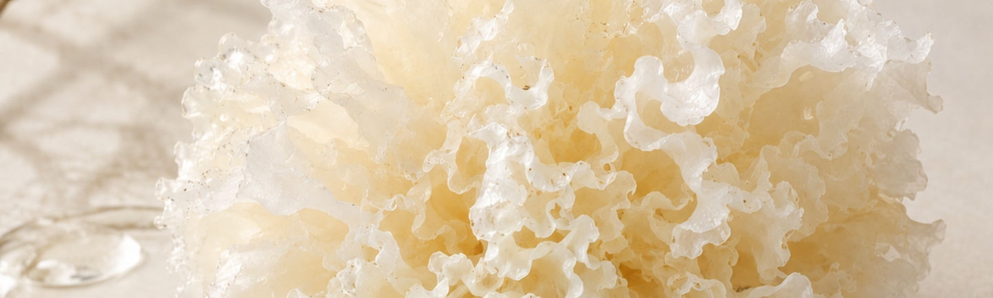 Eternal Skincare