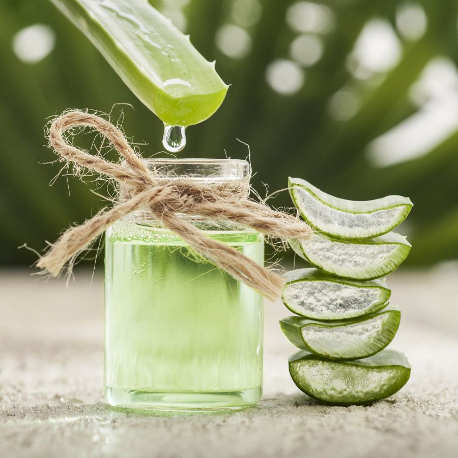 Cut aloe vera leaf with a clear droplet above a glass bottle