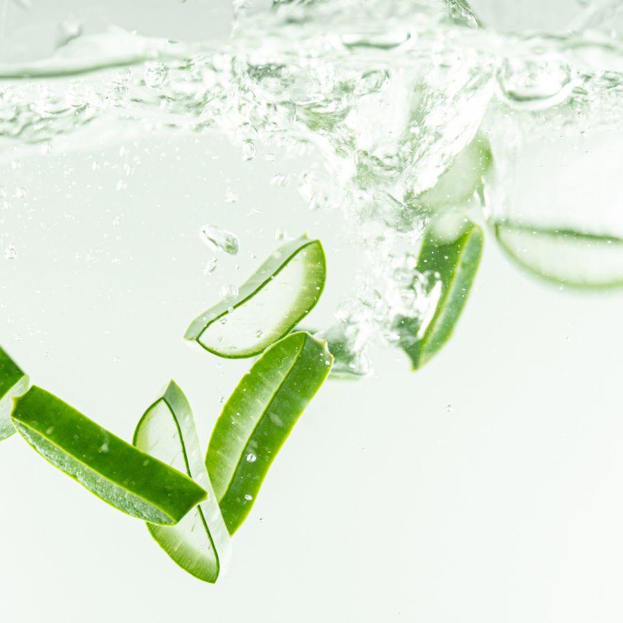 Fresh green aloe vera slices floating in clear, bubbly water against a bright white background.