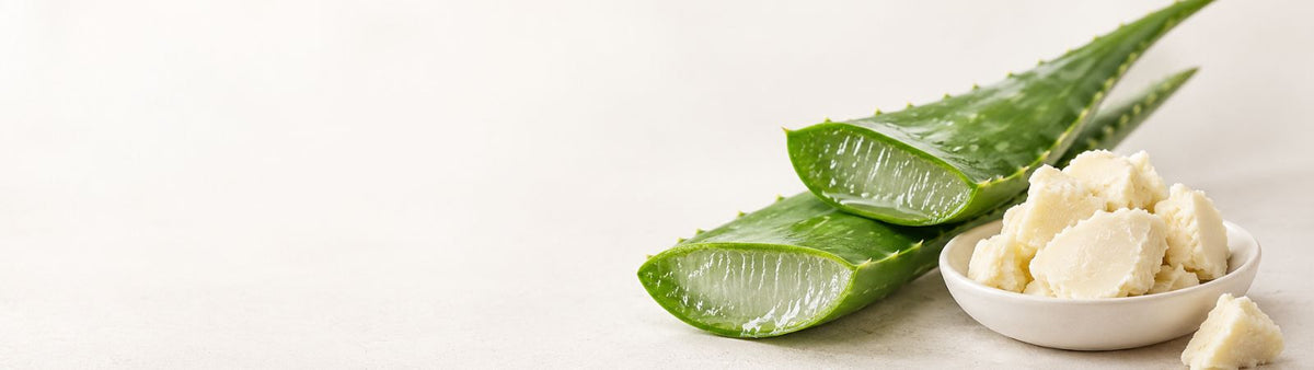 Cut aloe vera leaves beside a bowl of shea butter on a pale background.